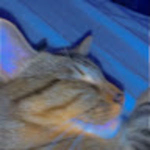 Meet your Posher, Juliana